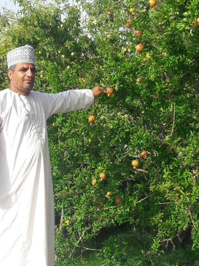 Abu Omair Jabal Shams House Hotel Al Hamra Luaran gambar