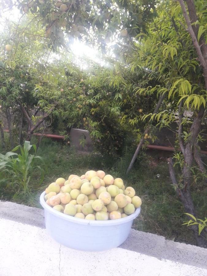 Abu Omair Jabal Shams House Hotel Al Hamra Luaran gambar